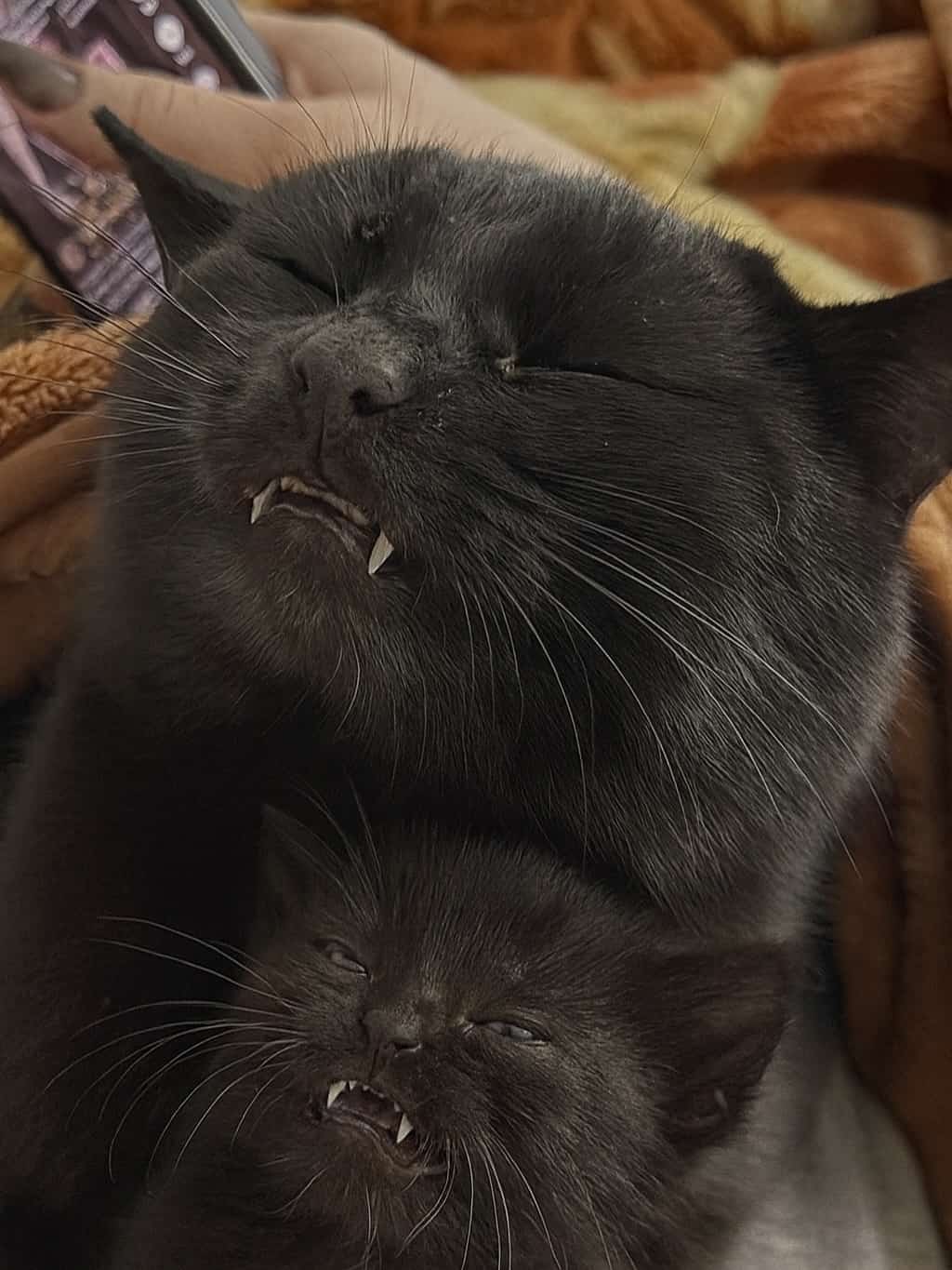 Global Innovations Combat Extreme Heat and Power Outages with Solar Housing, Urban Shelters, and Microgrids Global Innovations Combat Extreme Heat and Power Outages with Solar Housing, Urban Shelters, and Microgrids-1