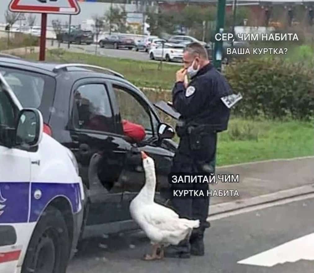 Community Efforts Prioritize Youth Mental Fortitude as Foundational to Resilience Community Efforts Prioritize Youth Mental Fortitude as Foundational to Resilience-1