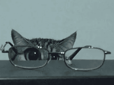 US Tariffs Drive Americans to Seek Bargains in Mexico US Tariffs Drive Americans to Seek Bargains in Mexico-1