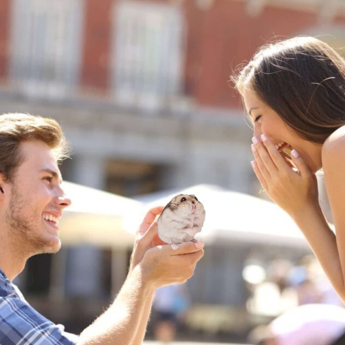 Public Outcry Follows BOM Digital Overhaul Amid Severe Weather Crisis Public Outcry Follows BOM Digital Overhaul Amid Severe Weather Crisis-1